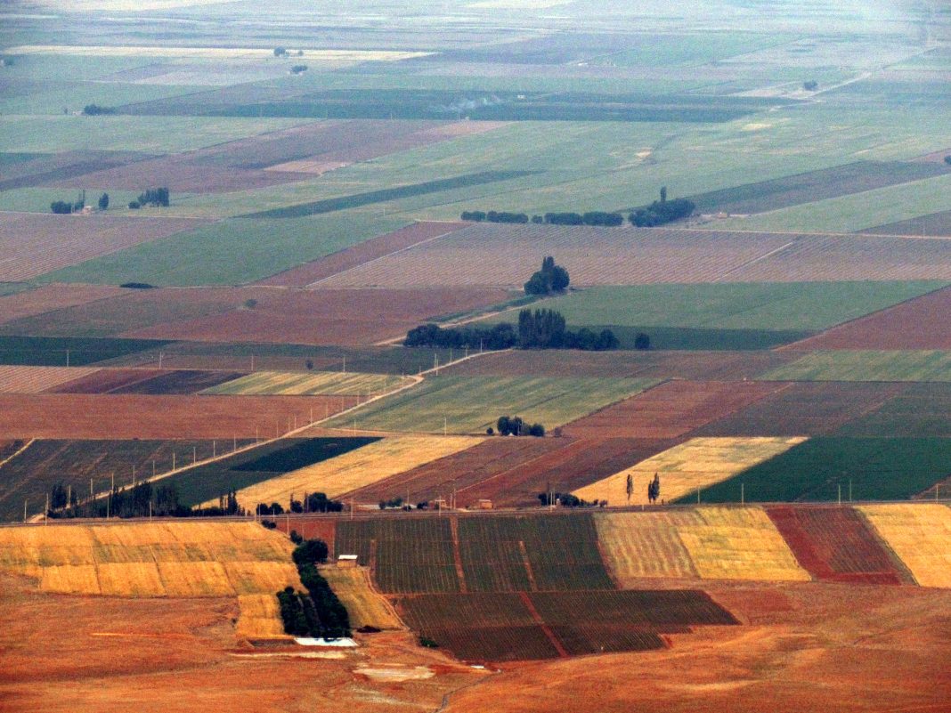 از طبیعت تا فرهنگ